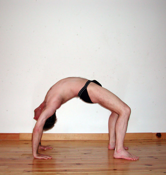 Yoga posture: chakrasana. Des centaines de photos, de videos, d'articles sur le site www.natha-yoga.com - 2011