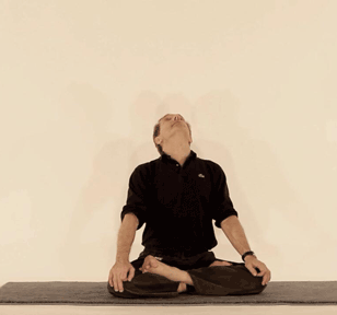 Yoga respiration. Ivresse du souffle, jalandharabandha inversé. C.Tikhomiroff/2010 - www.natha-yoga.com
