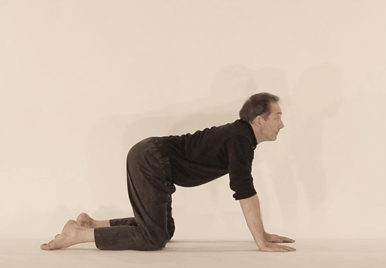 Yoga posture. Inspiration du chat, marjariasana. C.Tikhomiroff/2010 - www.natha-yoga.com