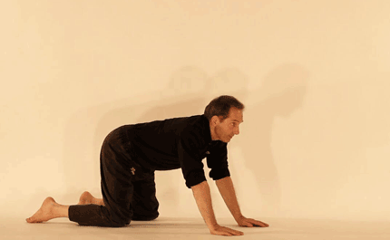Yoga posture. Posture du chat1, marjariasana. C.Tikhomiroff/2010 - www.natha-yoga.com