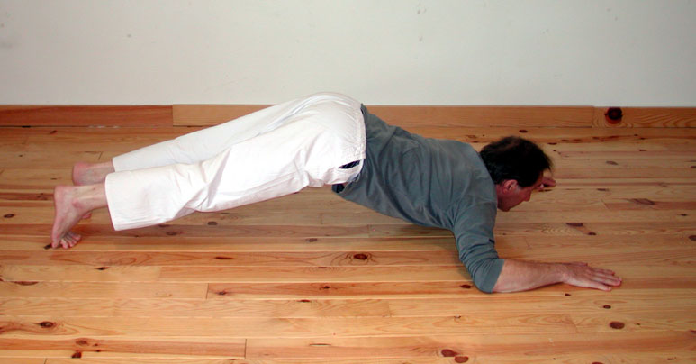 Catur anga danda asana, les guetteurs. C.Tikhomiroff 2005