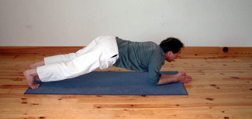 Catur anga danda asana, les guetteurs. C.Tikhomiroff 2005