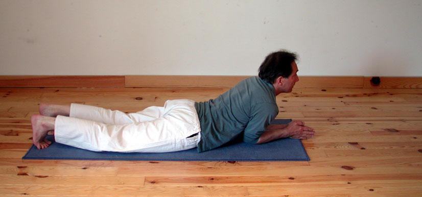 Catur anga danda asana, les guetteurs. C.Tikhomiroff 2005 