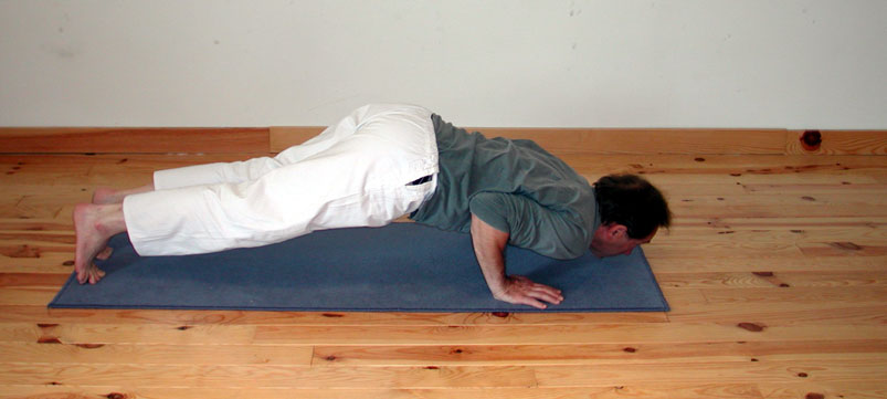 Catur anga danda asana, les guetteurs. C.Tikhomiroff 2005