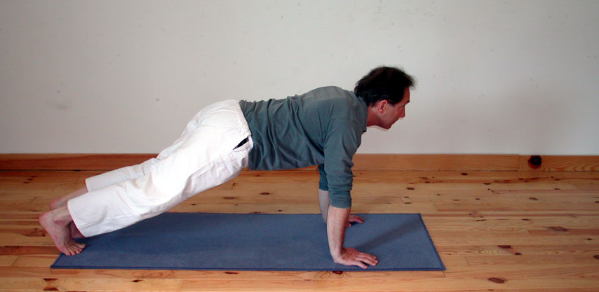 Catur anga danda asana, les guetteurs. C.Tikhomiroff 2005