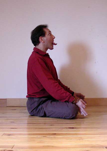 Jhiva mudra