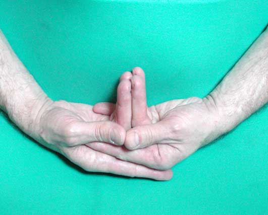 Linga mudra