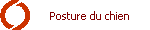 Posture du chien