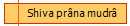 Shiva prâna mudrâ