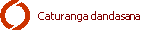 Caturanga dandasana