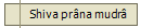 Shiva pr�na mudr�