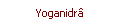 Yoganidr�