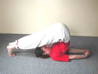 posture de la charrue (halasana): complte, yoga pose